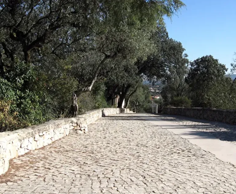 Valinhos de Fátima